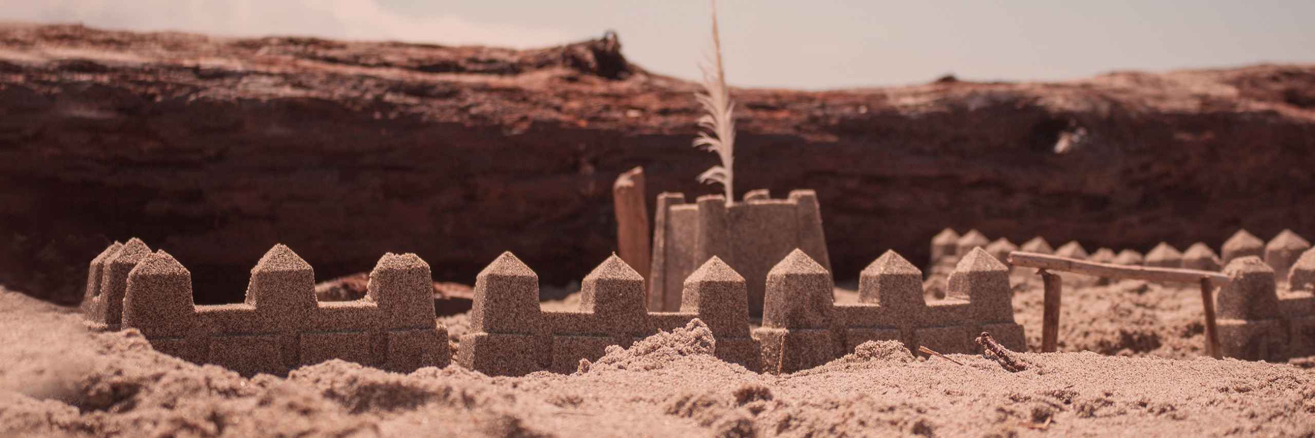 Katarína Májovská header image