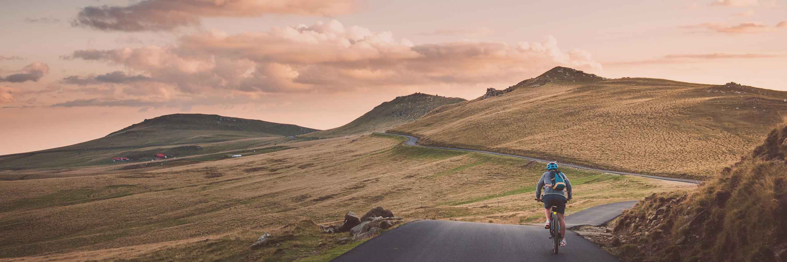 Katarína Májovská header image