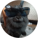 Renata L profile picture